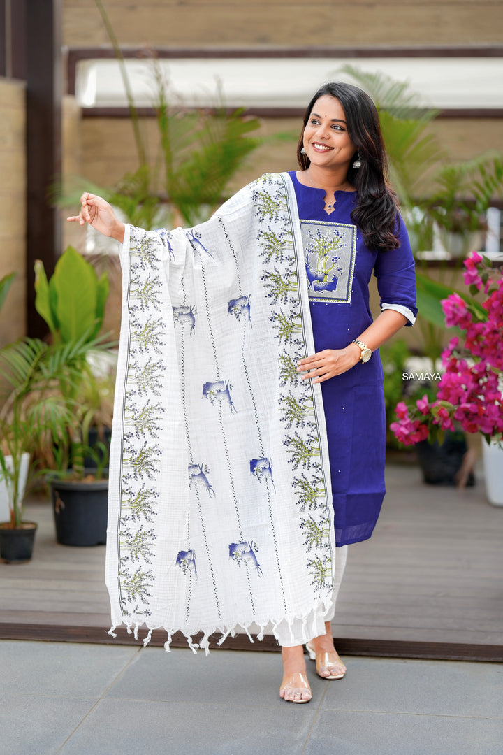 Vaanam cotton  3 piece Set with lining