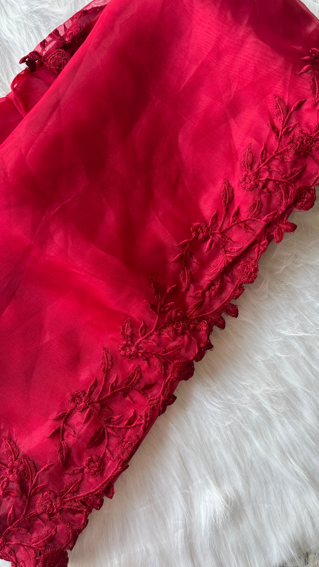 Heartly Organza Saree
