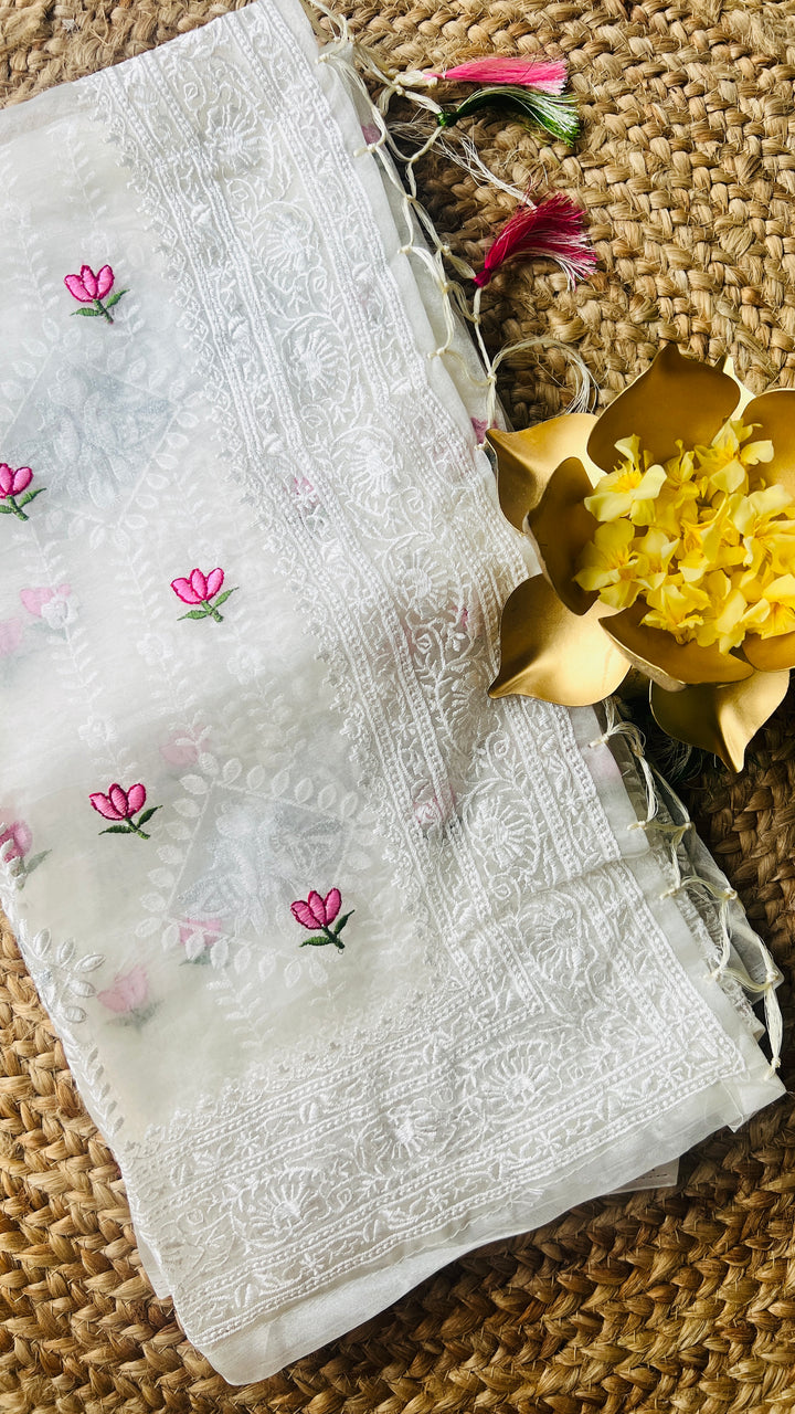 Lotus organza chikankari saree