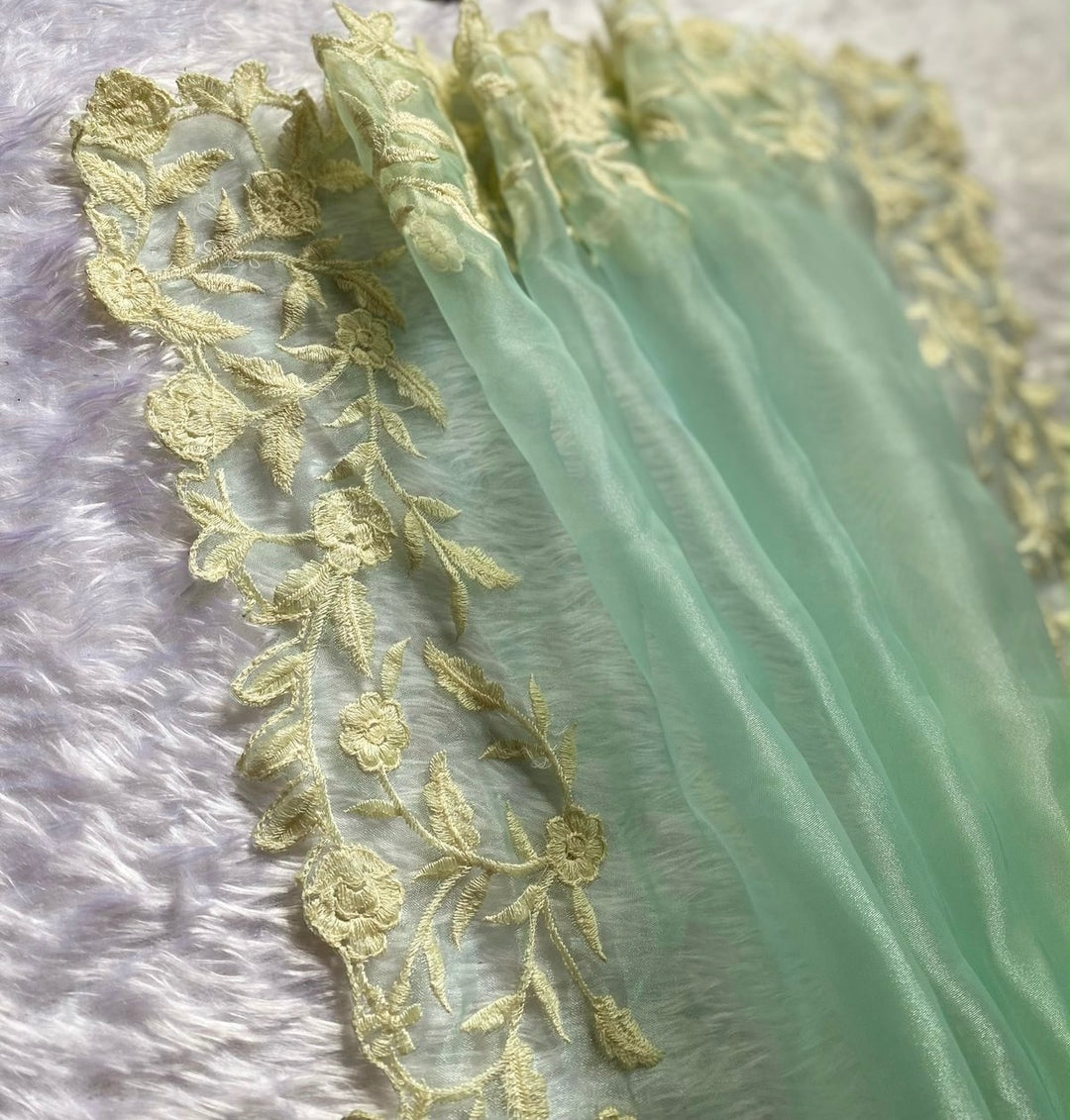 Heartly Organza Saree