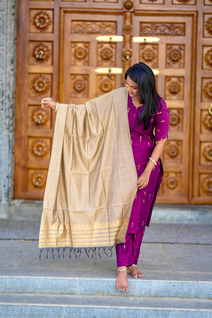 Janani 3 piece raw silk suit set