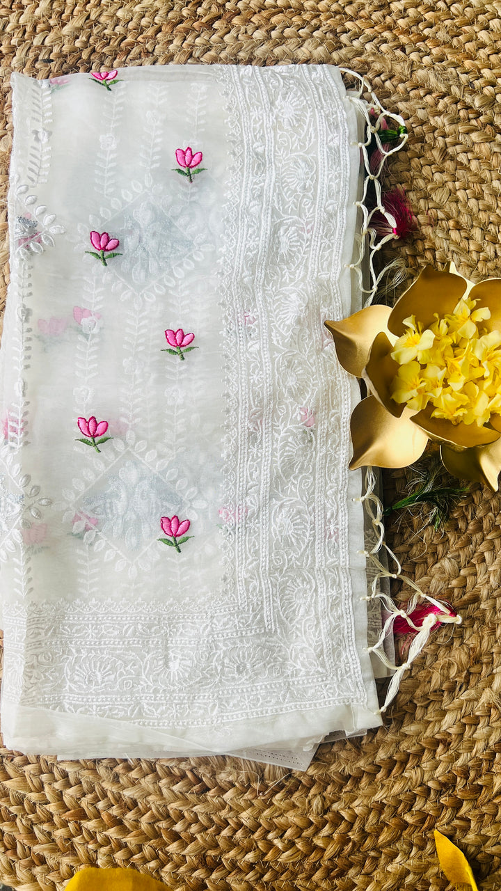 Lotus organza chikankari saree
