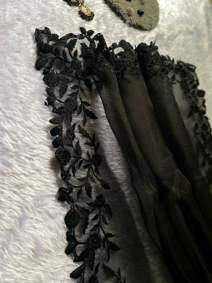 Heartly Organza Saree