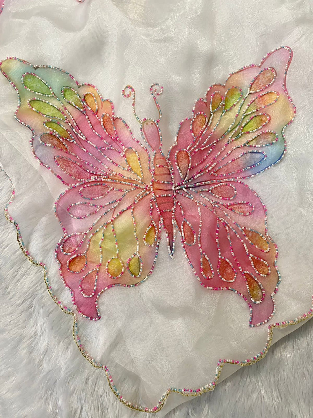 Butterfly organza saree