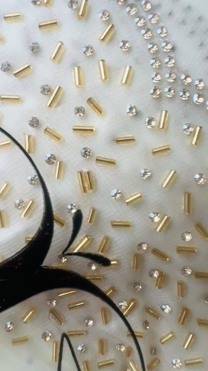 Merry  space silk  work saree